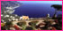 Ravello shore excursion