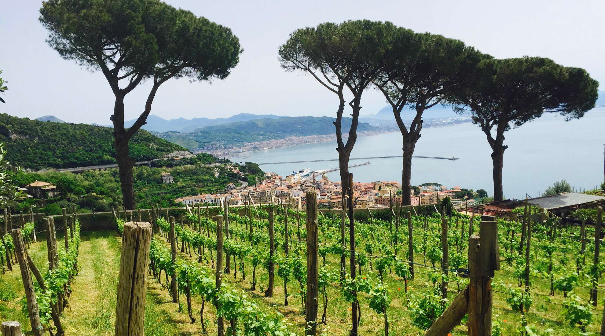 Amalfi Coast wine tour